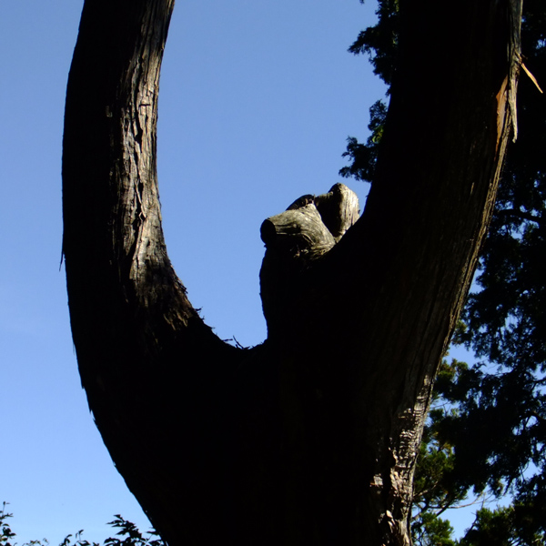 mitake-34-6-20130928