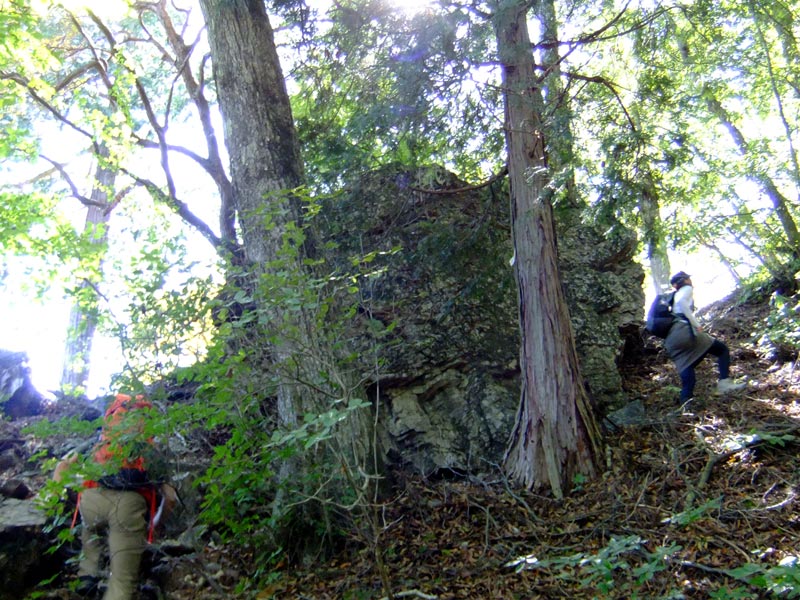 mitake-49-2-20130928